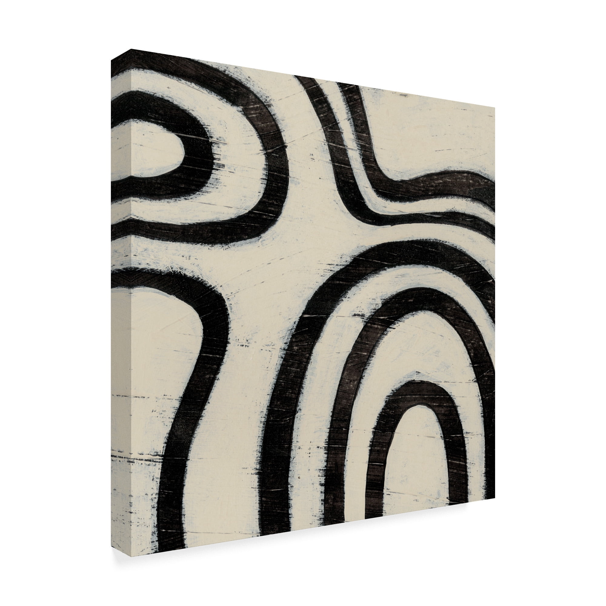 Trademark Fine Art 'Hieroglyph X' Canvas Art by June Erica Vess