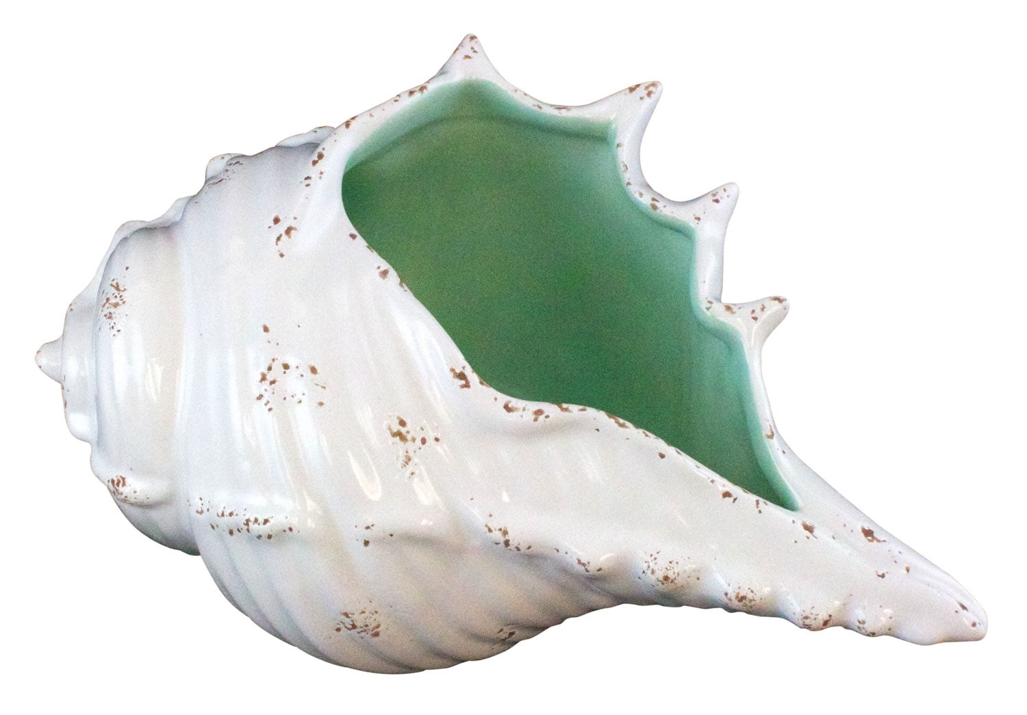 Conch Shell Figurine White And Teal Distressed Finish Ceramic - Walmart.com