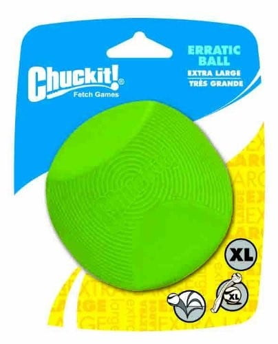 puppy food aggression with other dogs