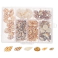 thumbnail image 4 of 1 caja de conchas pequeñas, conchas marinas diminutas naturales del océano para decoración de concha de playa en miniatura DIY, 4 of 5