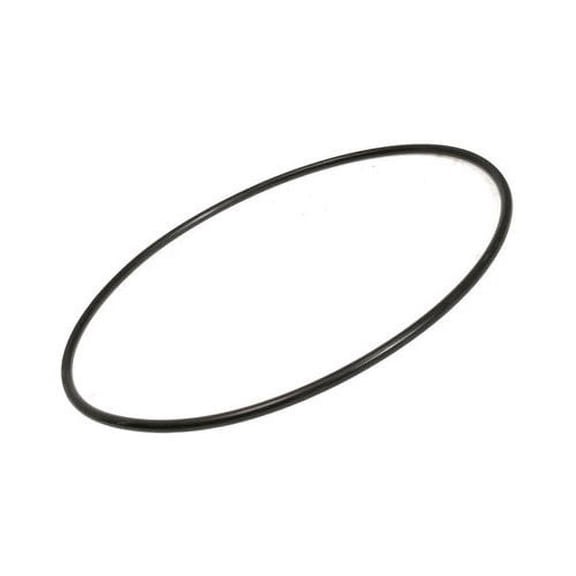 Pentair U9-228AZ Max-E/Dura Glass Volute O-Ring