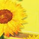 thumbnail image 2 of 40pcs Sunflower Pattern Napkins Unique Paper Towel Facial Tissue Practical Napkin for Party Banquet Daily Use, 2 of 4