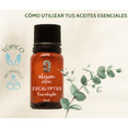 thumbnail image 3 of Aceite Esencial De Eucalipto 100% Puro Y Orgánico 15ml, 3 of 5