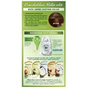 Garnier Nutrisse Nourishing Hair Color Creme, 53 Medium Golden Brown Chestnut