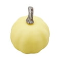 thumbnail image 5 of 7Pcs Mini Artificial Pumpkins, Fall Harvest Simulation Pumpkins Decor Fake Fruit for Halloween, 5 of 8
