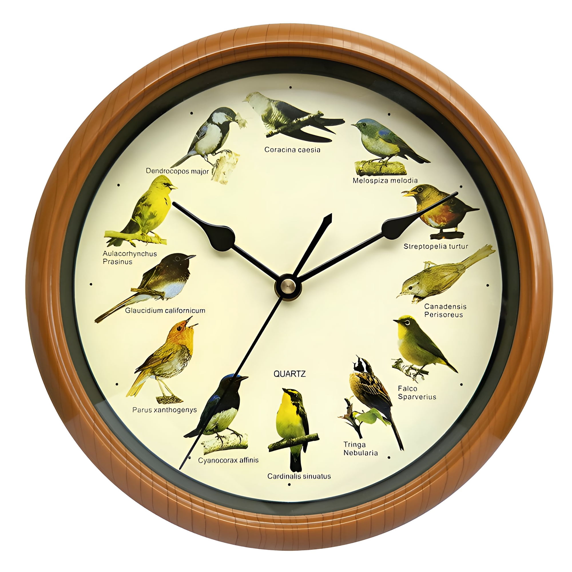 DESIGNICE Bird Wall Clock 10 That Sings on Hour Bird Clock with Sound Decorative Wall Clocks