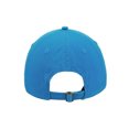 thumbnail image 3 of Teenage Mutant Ninja Turtles Leonardo Blue Unstructured Baseball Cap, 3 of 6