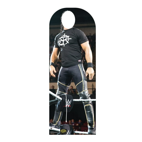 Seth Rollins Standin (WWE)