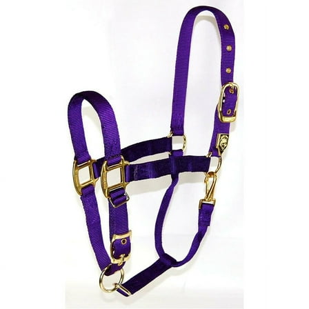 Hamilton Halter Company - Adjustable Chin Halter With Snap- Purple Average - 1DAS AVPU