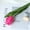 玫红, variant on Yoyauz Artificial Tulip Flowers 14inch Simulation Flowers Wet Feeling Premium Hand Feeling Tulip Fake Flowers Wedding Party Bouquet Home Decor