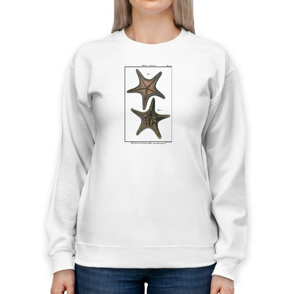 Sea Shell Xii Sweatshirt Women -Denis Diderot Designs, Female 3X-Large