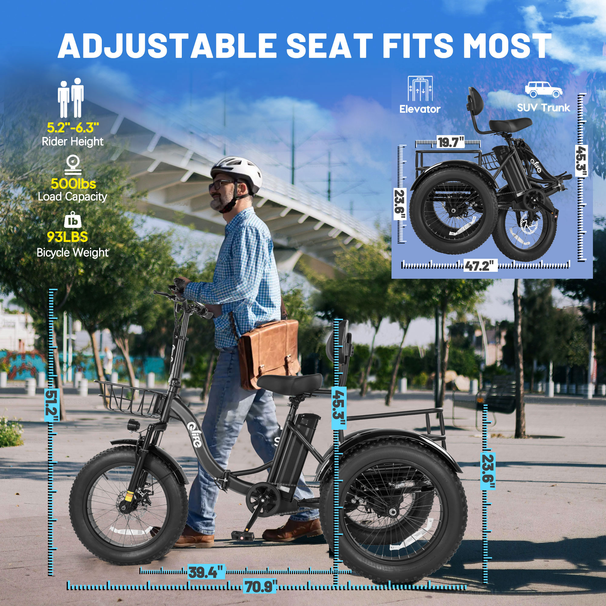 Qlife Triker Plus Electric Bike, Over 750W Brushless Motor Electric Tricycle for Adults, 48V 13Ah, Max 20MPH Up to 65 Miles ，20x4.0 Fat Tire E-Bike（black）