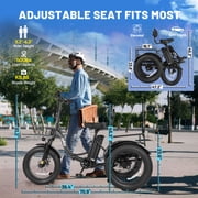 Qlife Triker Plus Electric Bike, Over 750W Brushless Motor Electric Tricycle for Adults, 48V 13Ah, Max 20MPH Up to 65 Miles ,20x4.0 Fat Tire E-Bike(black)