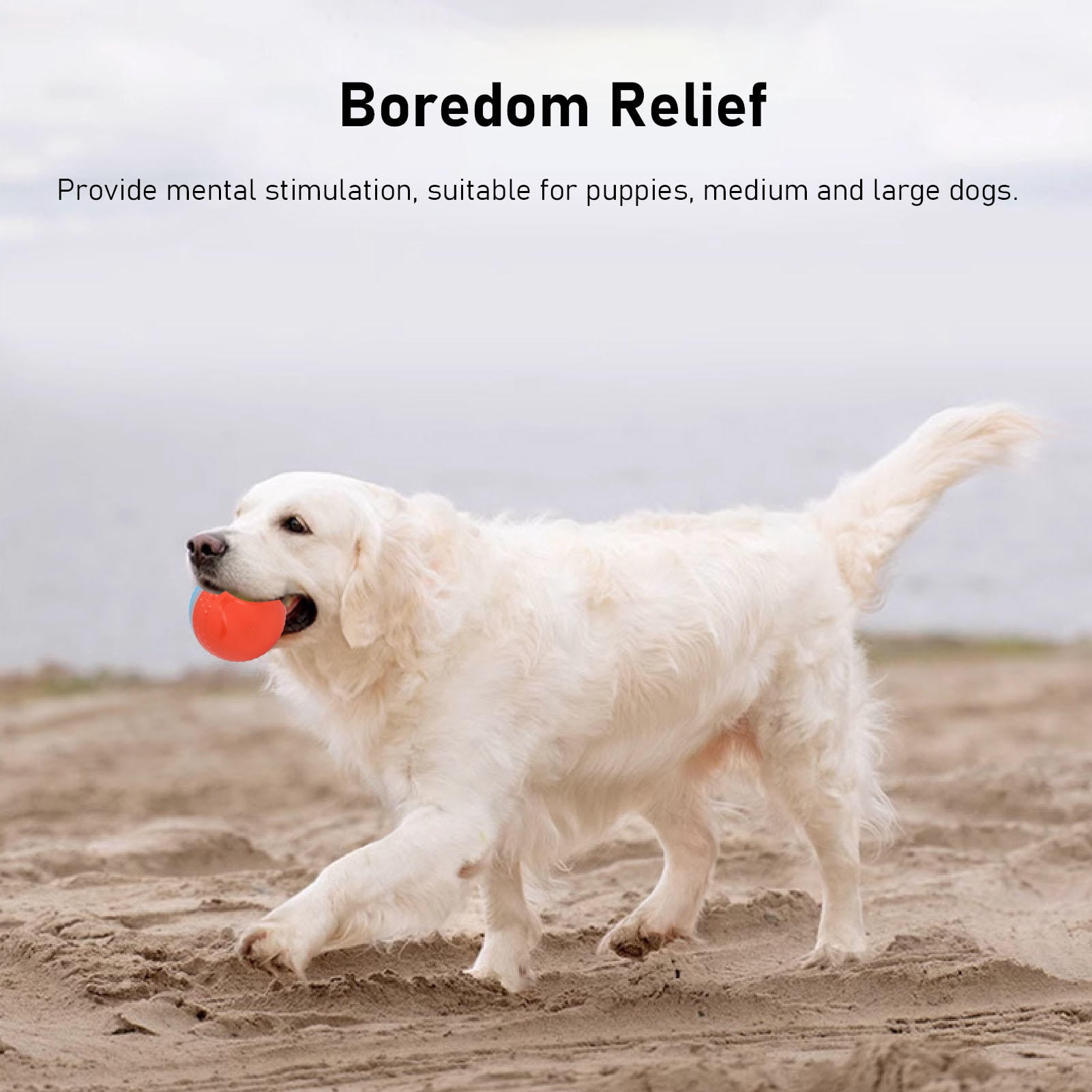 BOKYAN Active Rolling Ball – Waterproof, Rechargeable Interactive Toy for Medium‑Large Dogs, Blue/Orange
