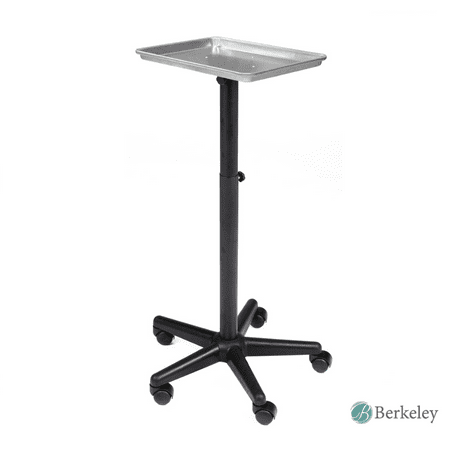 - BAILEY Rolling Salon Service Tray- Silver, Perfect for salon, barbershop, spa, hair coloring, tattoo studio to keep your tools at desirable height