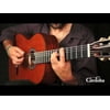C9 CD MH Nylon String Classical Acoustic Guitar