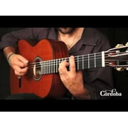 C9 CD MH Nylon String Classical Acoustic Guitar