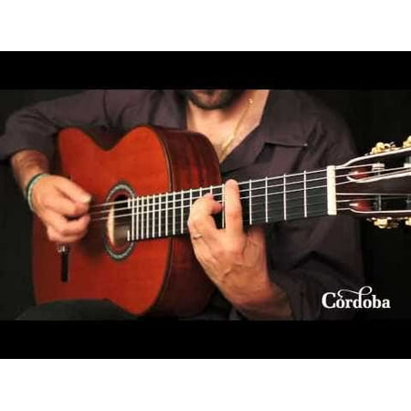 C9 CD MH Nylon String Classical Acoustic Guitar
