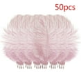 thumbnail image 2 of 50Pcs 15-20Cm Fluffy Ostrich Feathers - Boho Wedding Backdrop & Party Wall Decoration for Event Planners (Natural Bohemian Aesthetic), Cxui 50 Pcs Colourful Plumage for Wedding, 2 of 3