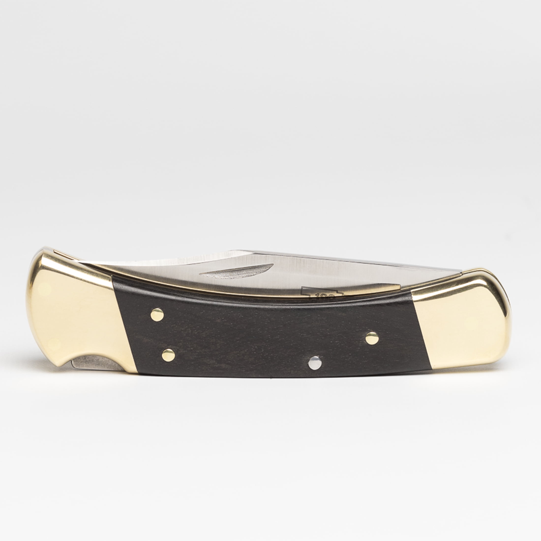 Buck Knives 110 Folding Hunter with Coin, 120th Anniversary Knife Tin