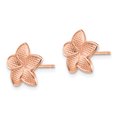 thumbnail image 2 of Primal Gold 14 Karat Rose Gold Textured Plumeria Post Earrings, 2 of 5