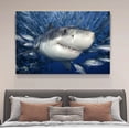 thumbnail image 4 of Shark Catching Fish Canvas Poster Bedroom Decor Sports Landscape Office Room Decor Gift,Frame-style,12x18inch(30x45cm), 4 of 8