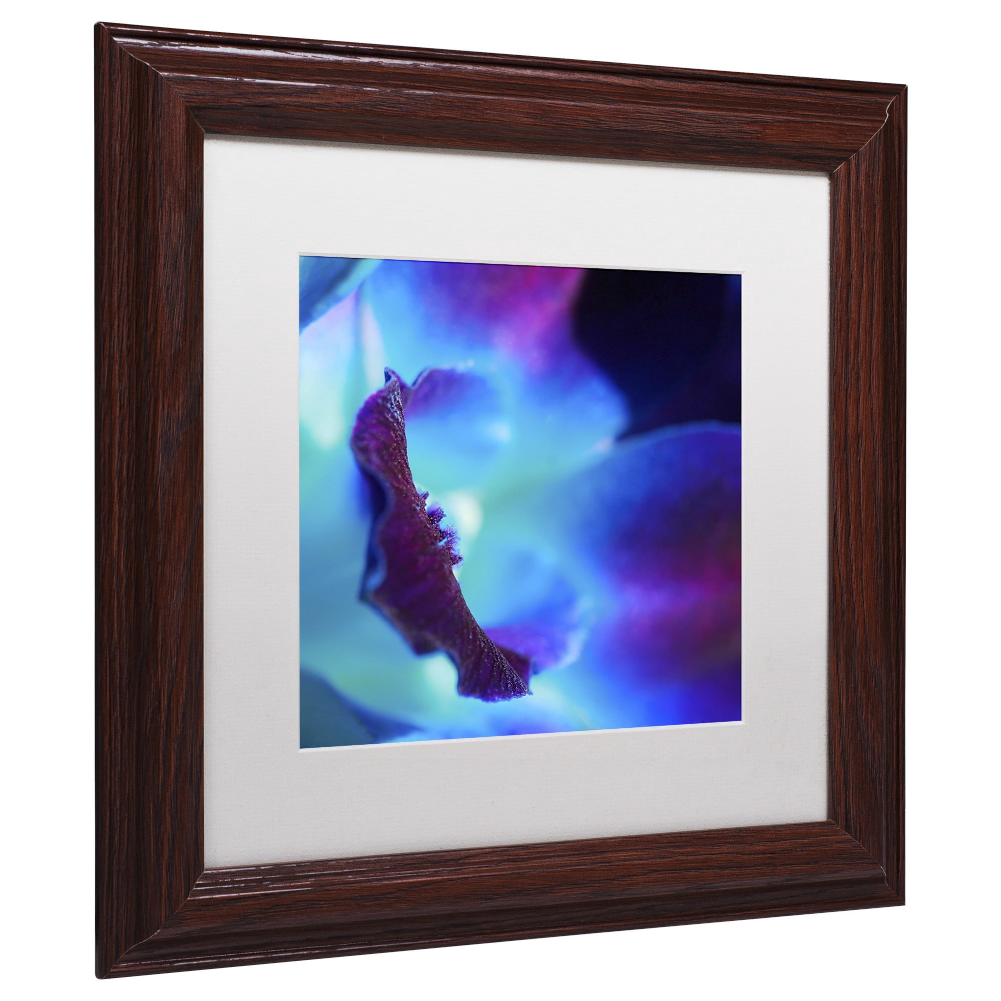 Trademark Fine Art "Colours of Tomorrow" Canvas Art by Beata Czyzowska Young, White Matte, Wood Frame
