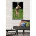 thumbnail image 4 of Famous Kitten Hang In There Poster Wall Poster, 22.375" x 34", 4 of 5