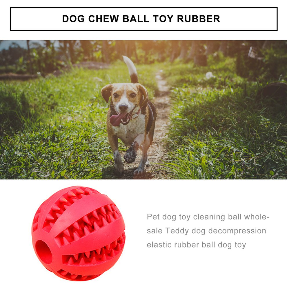 dog teeth cleaning ball