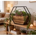 thumbnail image 5 of Flora Bunda TS1882E 11 in. Hexagon Wood Plus Metal Wall Succulent Mix, 5 of 5