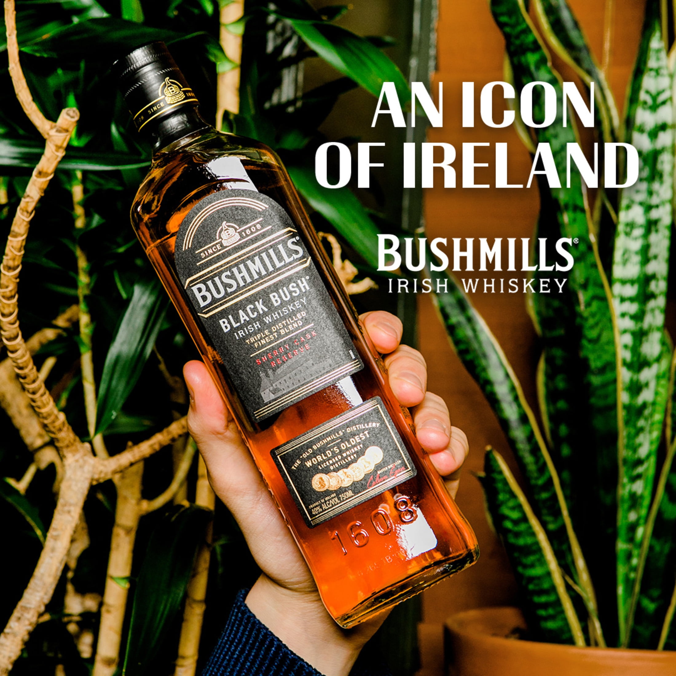 Bushmills Black Bush Irish Whiskey, 750 ml Glass Bottle, 40% ABV