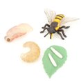 thumbnail image 4 of YLSHRF Insect Model, High‑Quality Animal Model Toy, For Kids Childs Kinderparten Home, 4 of 8