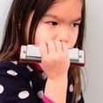 thumbnail image 4 of FENGGUIQU Harmonica Professionnel en Métal Rouge avec 10 Trous 20 Tons et Étui de Rangement Portable Noir, 4 of 8