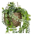 thumbnail image 2 of Planta Artificial Colgante Mainstays En Maceta De Ratán, Color Verde, 2 of 4