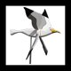 thumbnail image 1 of de Viento de Gaviotas, de Viento Seagul JardíN Spinner Loro Gaviota PáJaro Juguetes para NiñOs, Parte Superior NeumáTica, 1 of 5