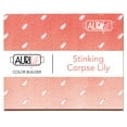 thumbnail image 3 of Aurifil 50wt Cotton Color Builder Thread Collection-Stinking Corpse Lily, 3 of 4