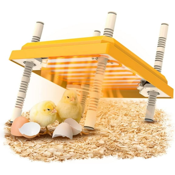 BigKing Brooder Heater for Chicks, 10”x10”Chicken Breeding Heating Plate Brooder Heating Heater Adjustable Height Chicken Incubator Heating Lamp Rutin Chicken Brooder Suitable for 15 Chicks (Colour)