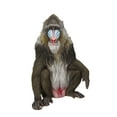 thumbnail image 1 of Décoration de Jardin Statue d'Animal Grand Mandrill Assis, 1 of 5
