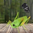thumbnail image 3 of Juguete de Saltamontes infrarrojo de simulación Zulema RC, 3 of 8