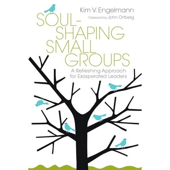 Soul-Shaping Small Groups: A Refreshing Approach for Exasperated Leaders, (Paperback)