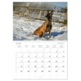 thumbnail image 5 of Malinois - Strong drive dogs with a lot of heart (Monthly Wall Calendar 2026 16.5 x 23.4 (open)), CALVENDO 14 Month Calendar, 5 of 9