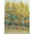thumbnail image 4 of Tim OToole 25x32 Black Modern Wood Framed Wall Art Titled - Woodland Edge III, 4 of 6