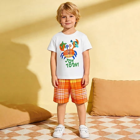 Toddler Boy Outfit Fashion Delicate Embroidered Crew Short Sleeve Top Plaid Shorts Two Piece Kids Summer Casual Outfit Set