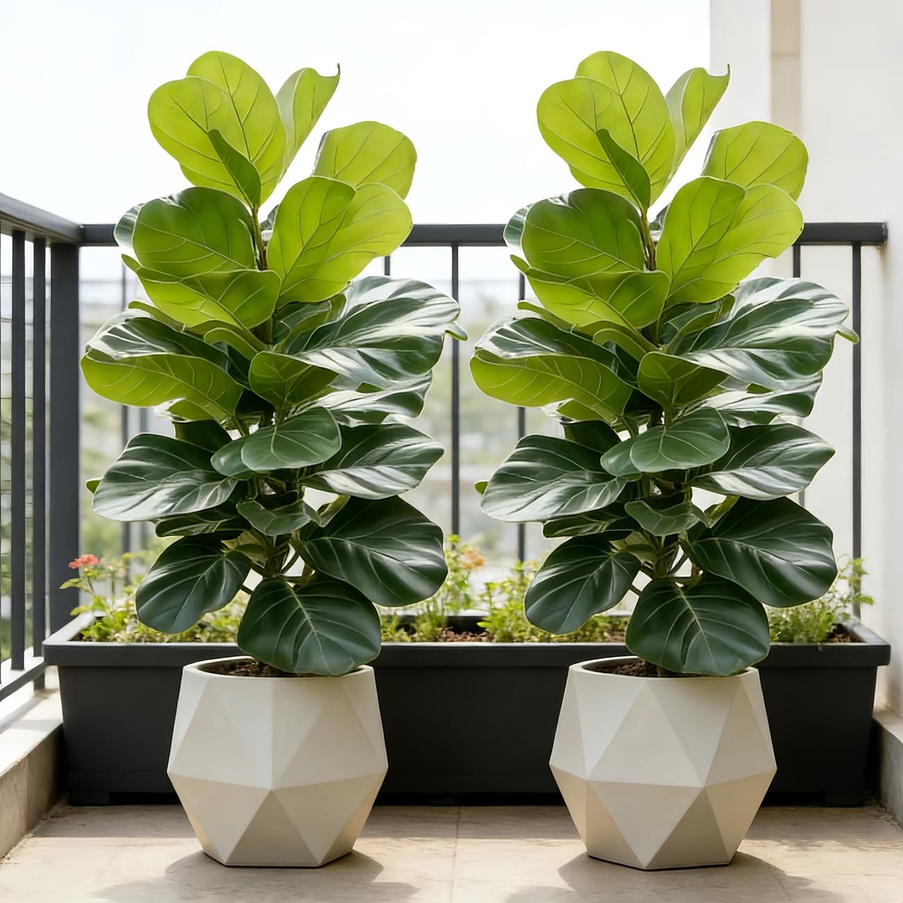 2 Pack 103cm Artificial Fiddle Leaf Fig Tree, Tall Fake Ficus Plant with Realistic Leaves, UV Resistant Tall Faux Floor Plant for Indoor Home Living Room Bedroom Decor, No Pot Needed