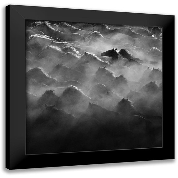 Zheng, Na Anna 12x12 Black Modern Framed Museum Art Print Titled - Leader