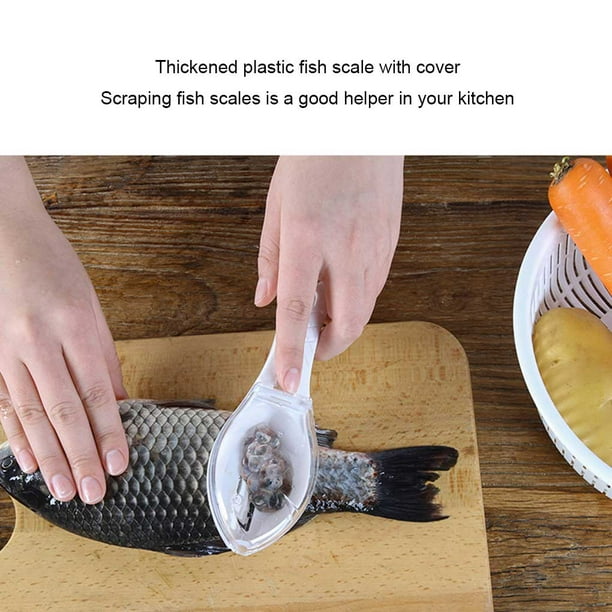 Scale Remover Practical Kitchen Accessories Brush Fishing