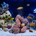 thumbnail image 5 of CUITING 10pcs Aquarium Volcanic Rocks Water Plant Stone Ring Fish Tank Rocks Habitat Aquarium Stones Ornaments, 5 of 5