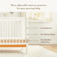 thumbnail image 4 of Little Seeds Clover 4-in-1 Convertible Crib, 4 of 7
