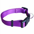 thumbnail image 1 of Shengyu Adjustable Nylon Dog Collar Solid Color Puppy Neck Pet Leash for Small Medium Large Dog, 1 of 1