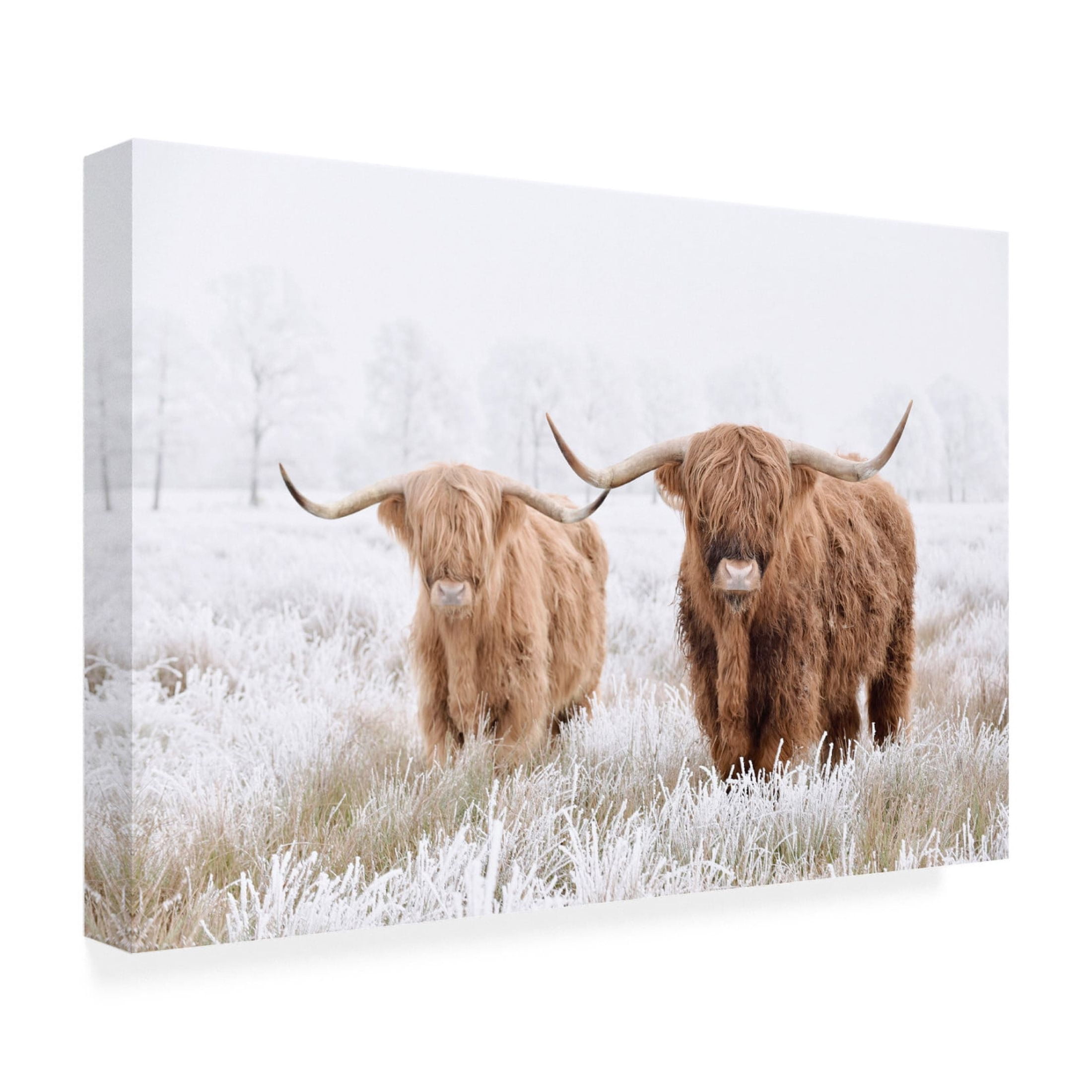 Canvas Wall Art - Krista Broadway 'Springfield' Wall Art for Living Room, Bedroom, or Office Décor by Trademark Fine Art - 47 x 30 Inches
